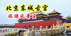 美女让男人免费捅30分钟中国北京-东城古宫旅游风景区